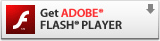 Flash Player������