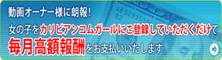 ����ӥ��󥳥६����Υѥե��罸
