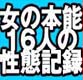 ���ڥ��ꥵ...