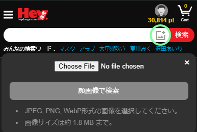 画像検索がご利用いただけるようになりました 検索ボックス内のアイコンよりお試しいただけます。